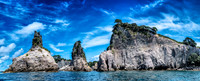 Panoramic