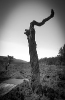 Lava Lands - Bend, Oregon