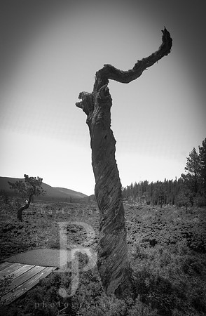Lava Lands - Bend, Oregon