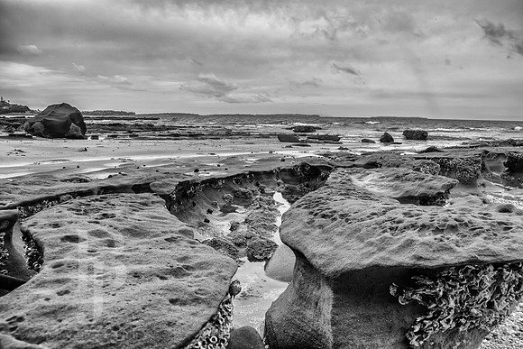Campbells Bay - Auckland, New Zealand