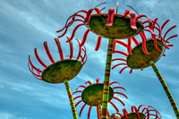 Chihuly Museum - Seattle, Washington