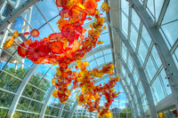 Chihuly Museum - Seattle, Washington