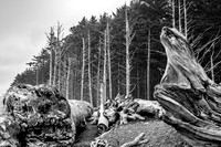 Ruby Beach - Olympic National Forest